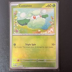 Pokemon Card