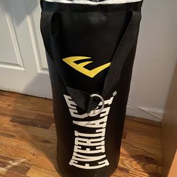 Everlast Punching Bag And Everlast Boxing Hand Wraps 