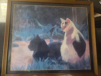 Framed Cat picture