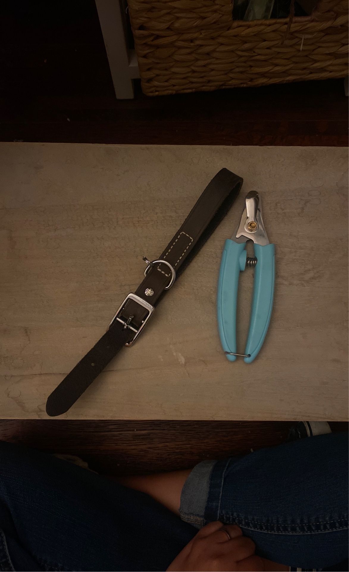 Martha Stewart Dog Nail Clippers (only used Once)