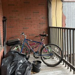 Bike For Sale (best Offer)