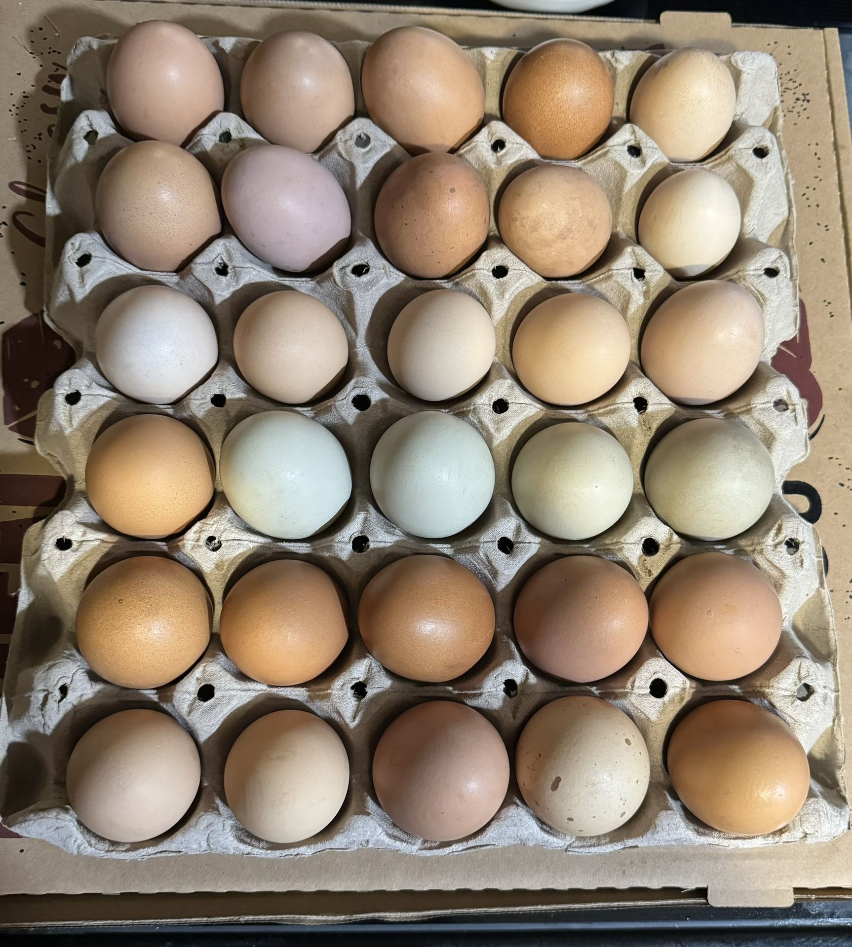 Farm Fresh Eggs