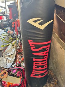 Everlast bag