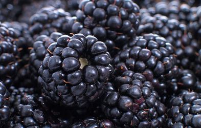 Blackberries $20/gallon,Fresh Picked To Order