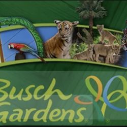BUSCH GARDENS TICKETS (4)