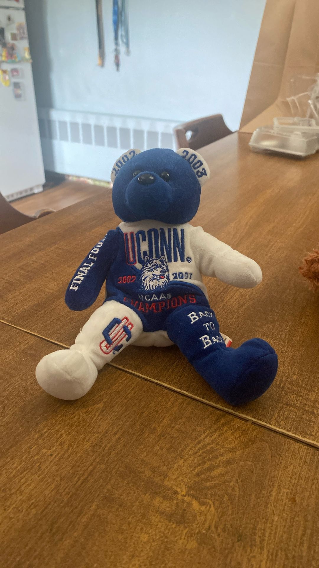 UConn Team bear