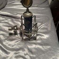 Condenser Microphone (Blue Bluebird XLR) 