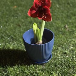 Set Of Planters🪴💙🖤🩷