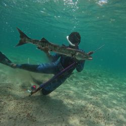 Custom Invert Roller Speargun 