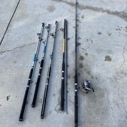 Two Piece Fishing Poles. One With Reel.  Price Is For All