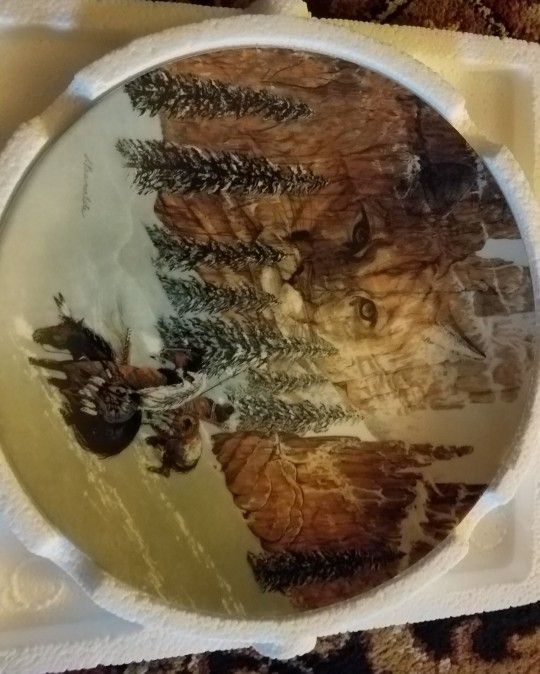MINT CONDITION Canyon Of The Cat