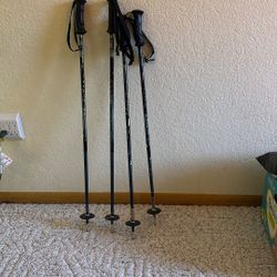 Junior Ski Poles