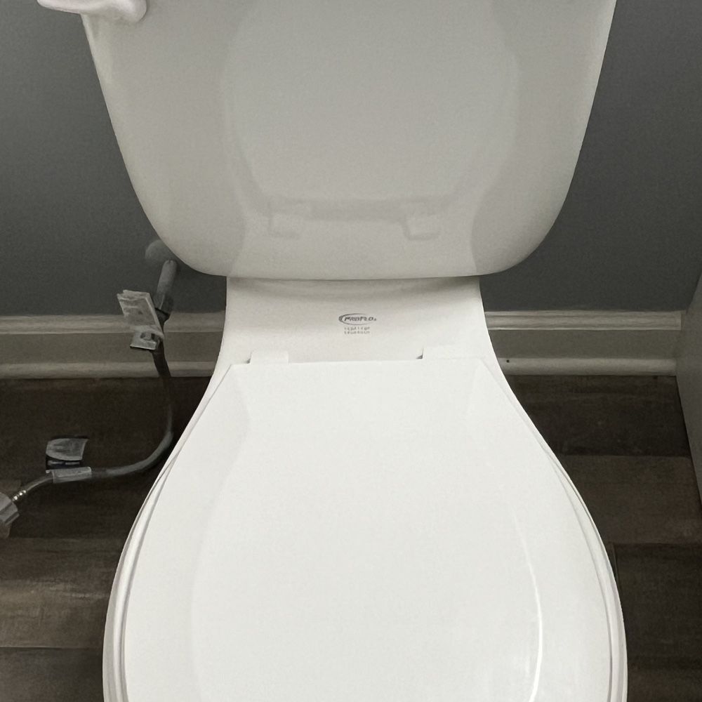 ProFlo 1.0-1.6 gpf Toilets out of a new build that are 1 year old.   $100