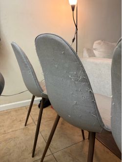 Dining Chairs