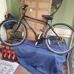 Mountain TRACK 800 BOYS BIKE