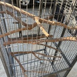 Bird Cage