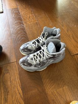 Jordan Shoe