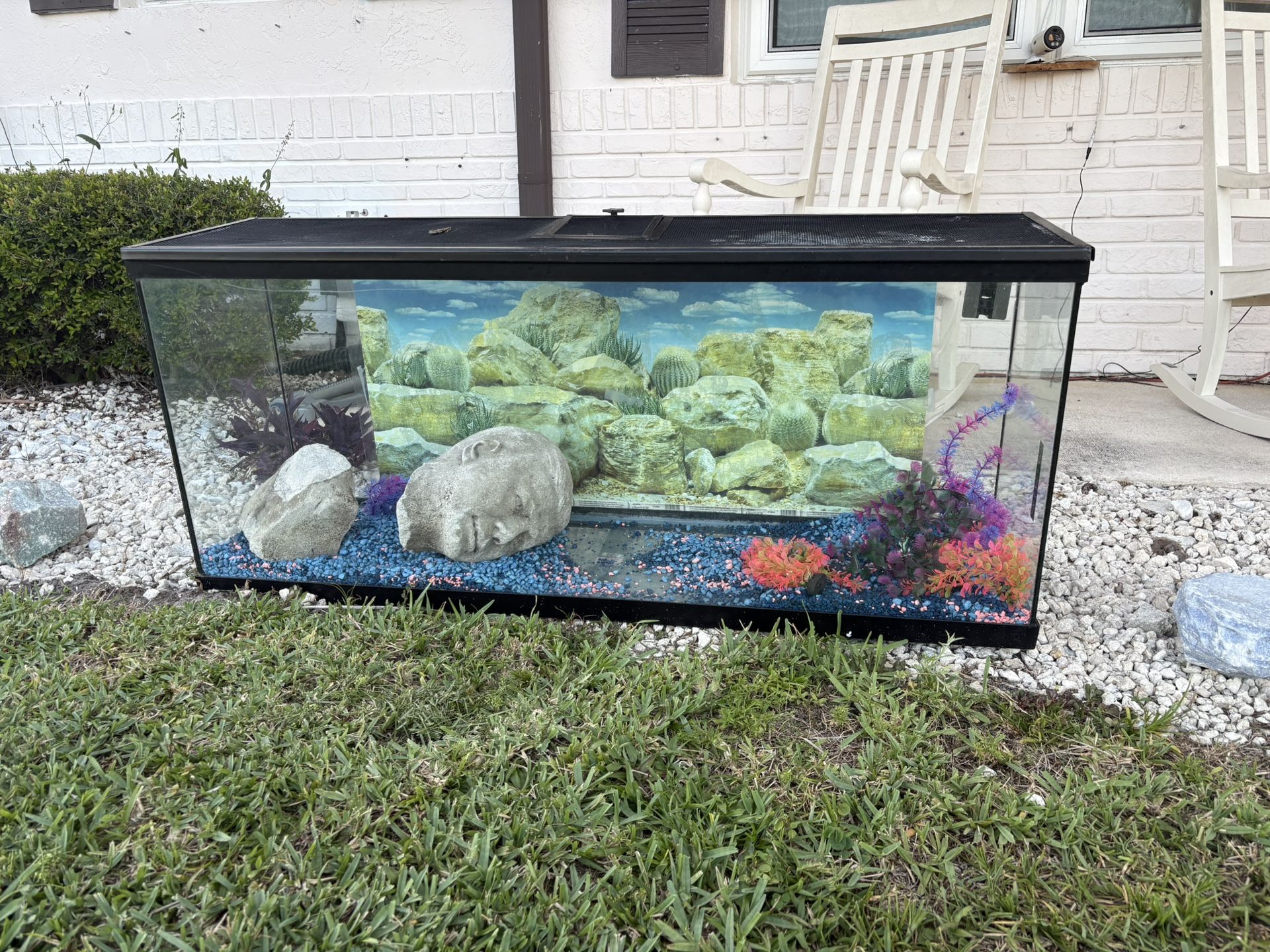 Fish Tank