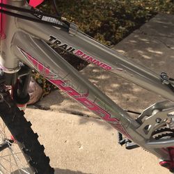 Puppy three speed mountain bike garage kept