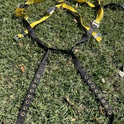 Harness 