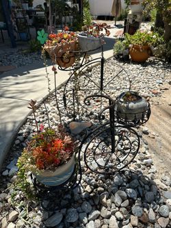 Plant with stand