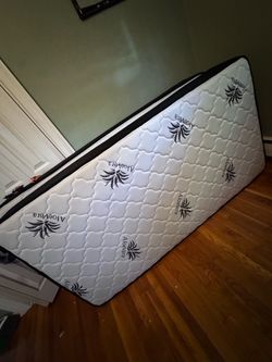 2 brand new twin mattresses