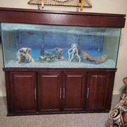 215 GALLON  Fish Tank