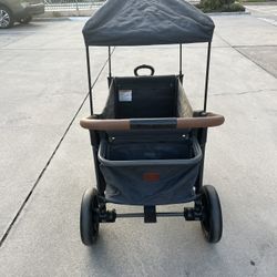 EVER ADVANCED 2-Kid Side-Unzip Wagon Stroller 