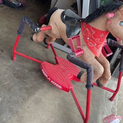 Radio Fluyeres Caballo