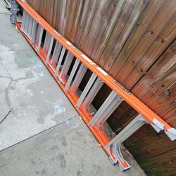 14ft Ladder