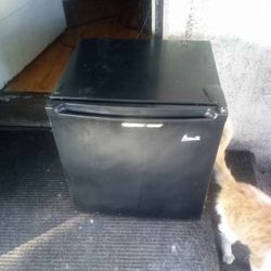 Mini Fridge 