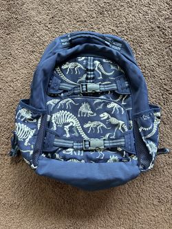 Pottery Barn Dinosaur Backpack And Lunch Bag