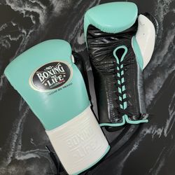 No Boxing No Life 12oz boxing gloves