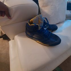 Air jordan 5 store laney jsp men's shoe