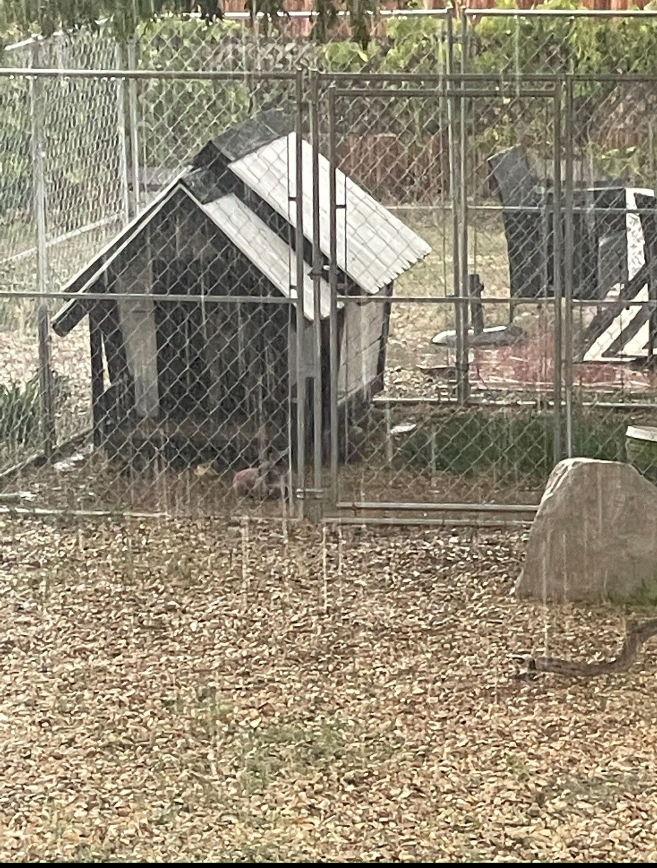 Pet Sentinel Chain Link Dog Kennel 10ft L x 10ft W x 6ft H for Sale