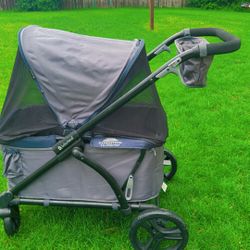 Baby Trend Expedition 2-in-1 Stroller Wagon