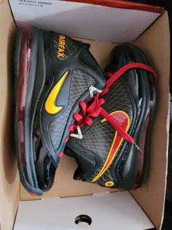 Nike Lebrons Fairfax Color Swatch