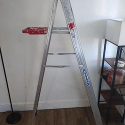 6ft Aluminum Ladder 