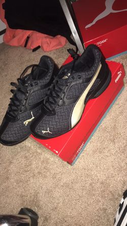Pumas