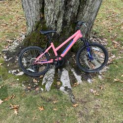 20” Nishiki Mountain Bike