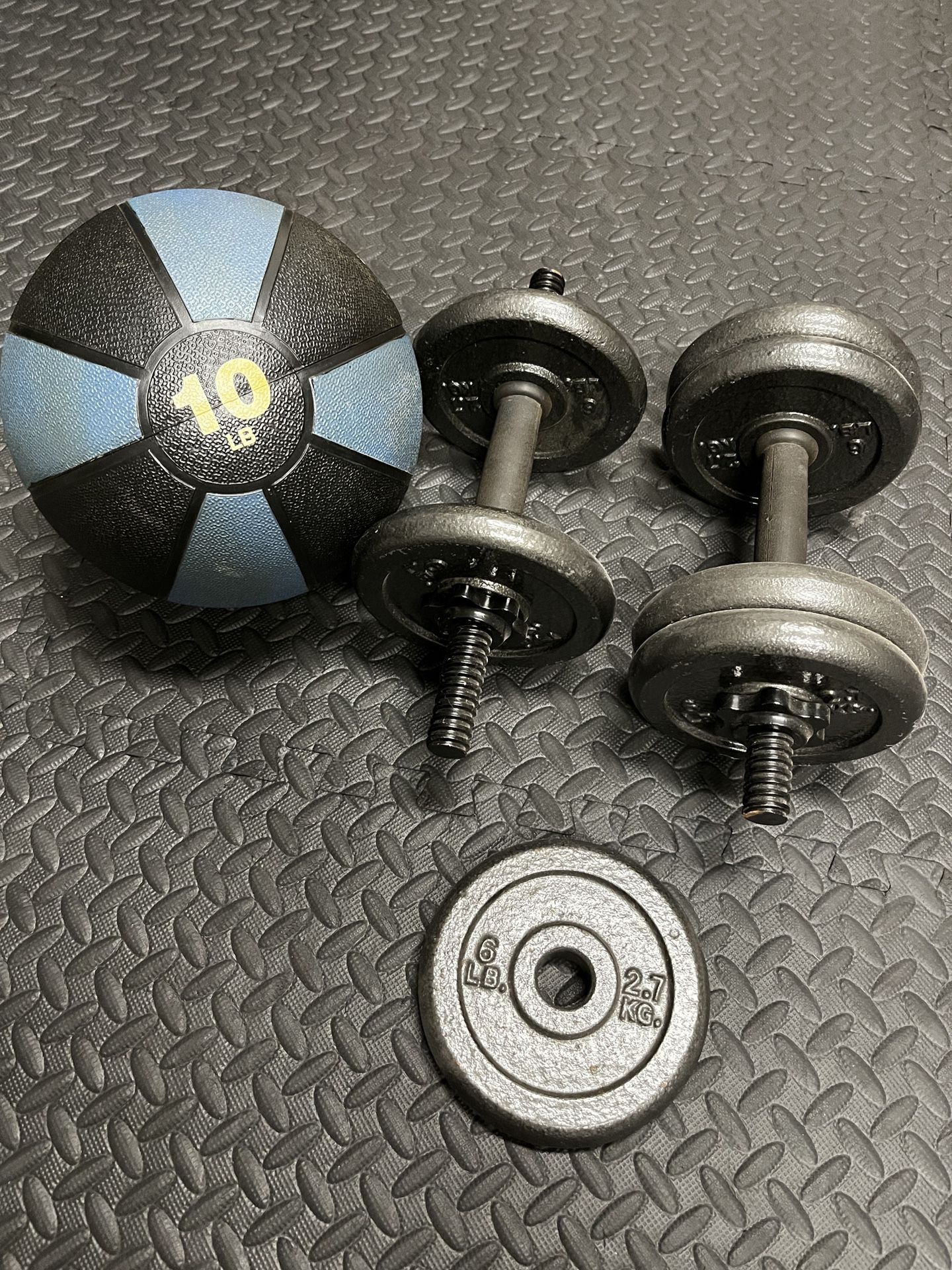 Exercise Ball With Weights 6lb Plates