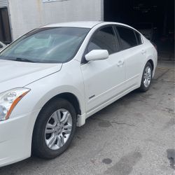 Nissan Altima For Sale White