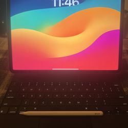 6th gen IPad Pro 12.9inch Display