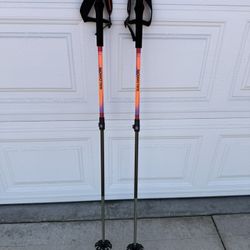 Salomon QST S3 Carbon Ski Poles