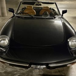 1982 Alfa Romeo Spider - Clean 