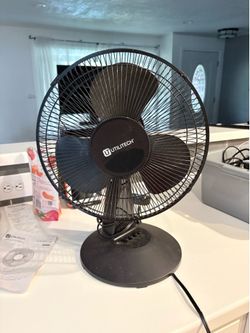 Fan
