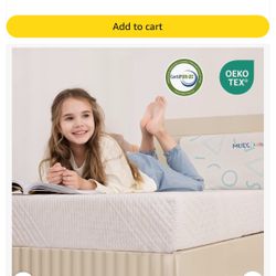 2 Twin Mattresses (Amazon)