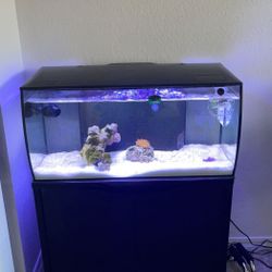 Salt Water Built In Aquarium System 