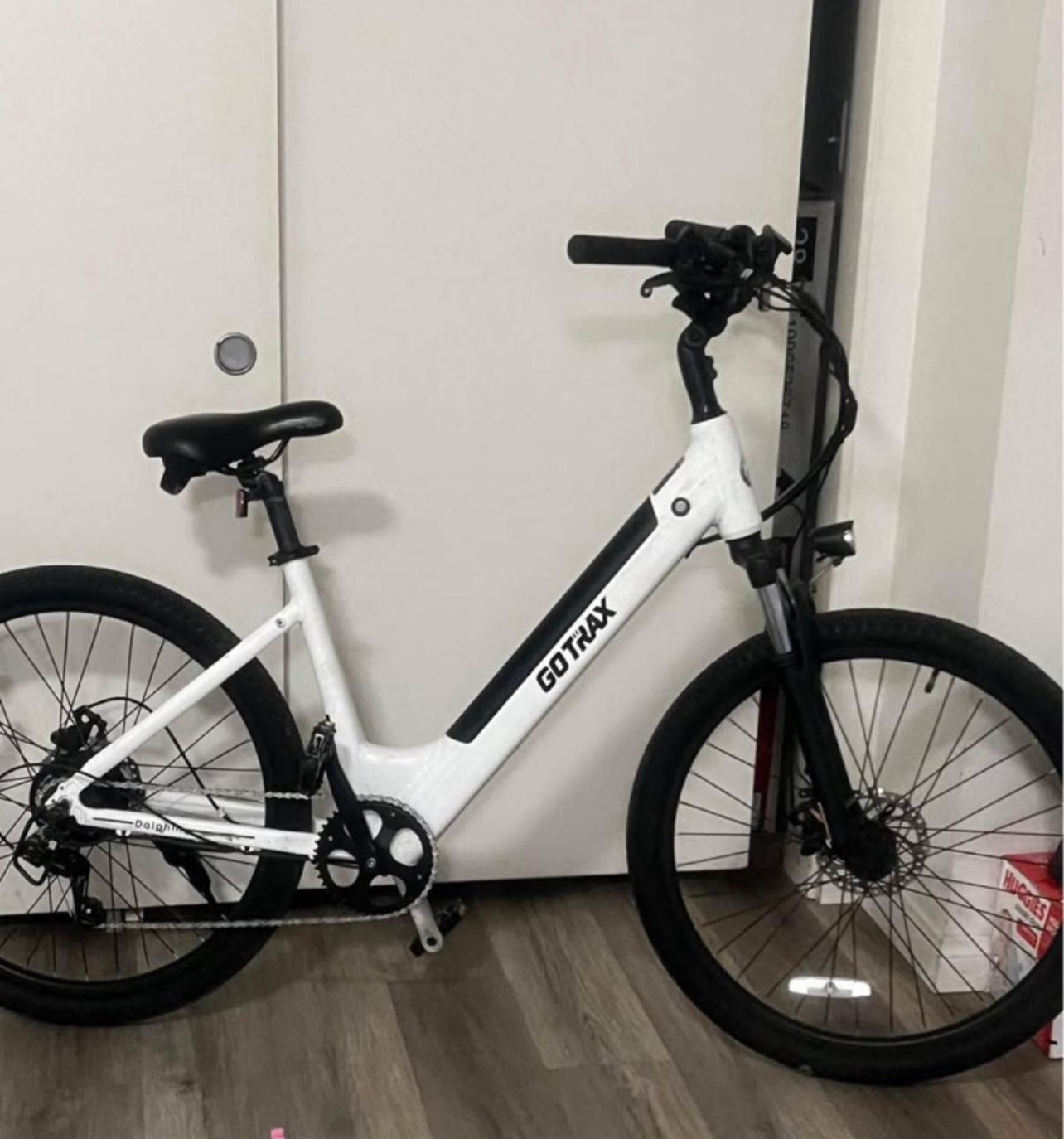 Electric GoTrax Dolphing 350 Firm Price No Charger