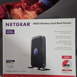Netgear Dual Router